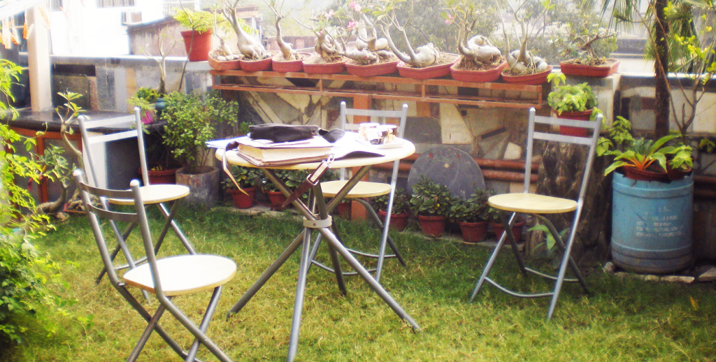 A beautiful Terrace Garden made my Sudharma