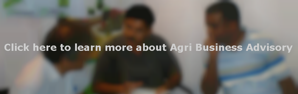 agri-business-advisory